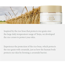 Load image into Gallery viewer, I'M FROM Rice Cream