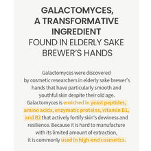 Load image into Gallery viewer, One Thing Galactomyces Ferment Filtrate