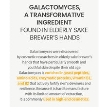 Load image into Gallery viewer, One Thing Galactomyces Ferment Filtrate
