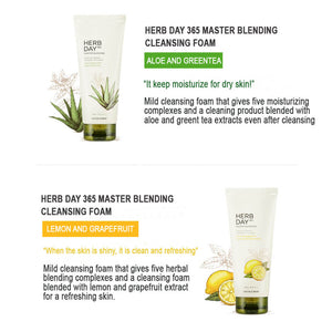 the face shop herb day 365 cleansing foam aloe review